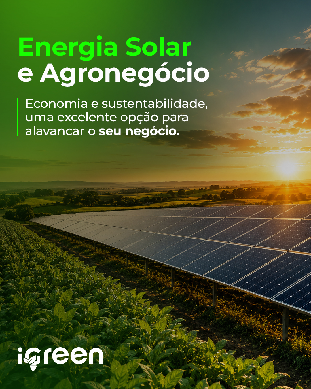 Energia Solar e Agronegócio — iGreen